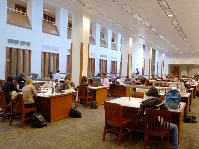 Foster Library Students Studying