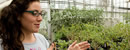 woman in greenhouse