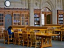 Suzzallo Reading Room-Reader at Table