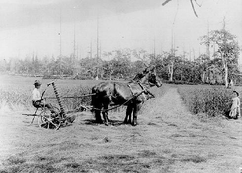 Photographer unknown. Neg. no. UW5537 