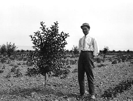 Photographer unknown. Neg. no. UW7040 