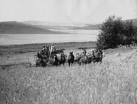 Photographer unknown. Neg. no. UW1664 