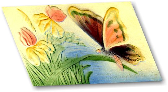 butterflycard