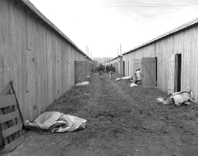 Bunkhouses